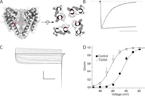 Figure 7.