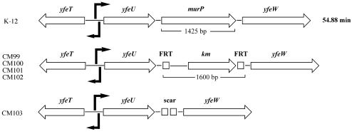 FIG. 5.