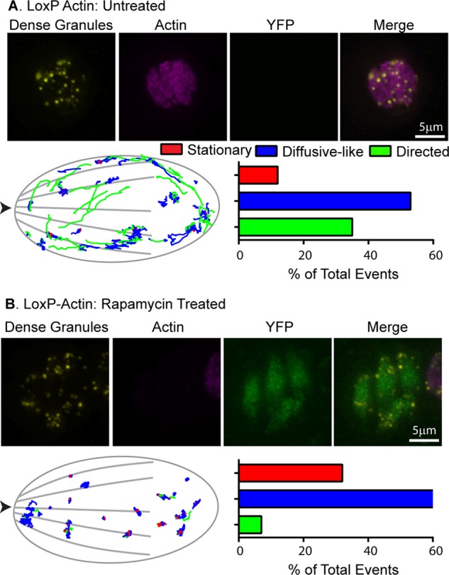 FIGURE 3: