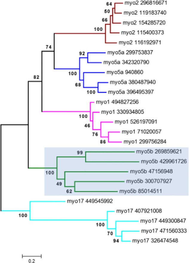 Figure 5