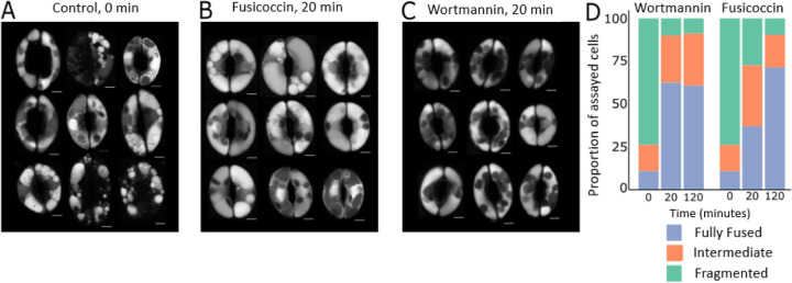 Fig 2.