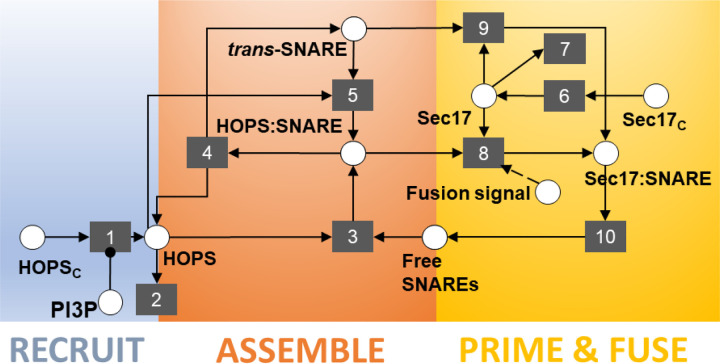 Fig 4.