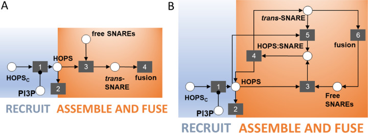 Fig 3.