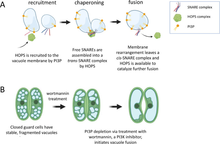 Fig 1.