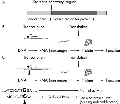 graphic file with name fn108670.f1.jpg