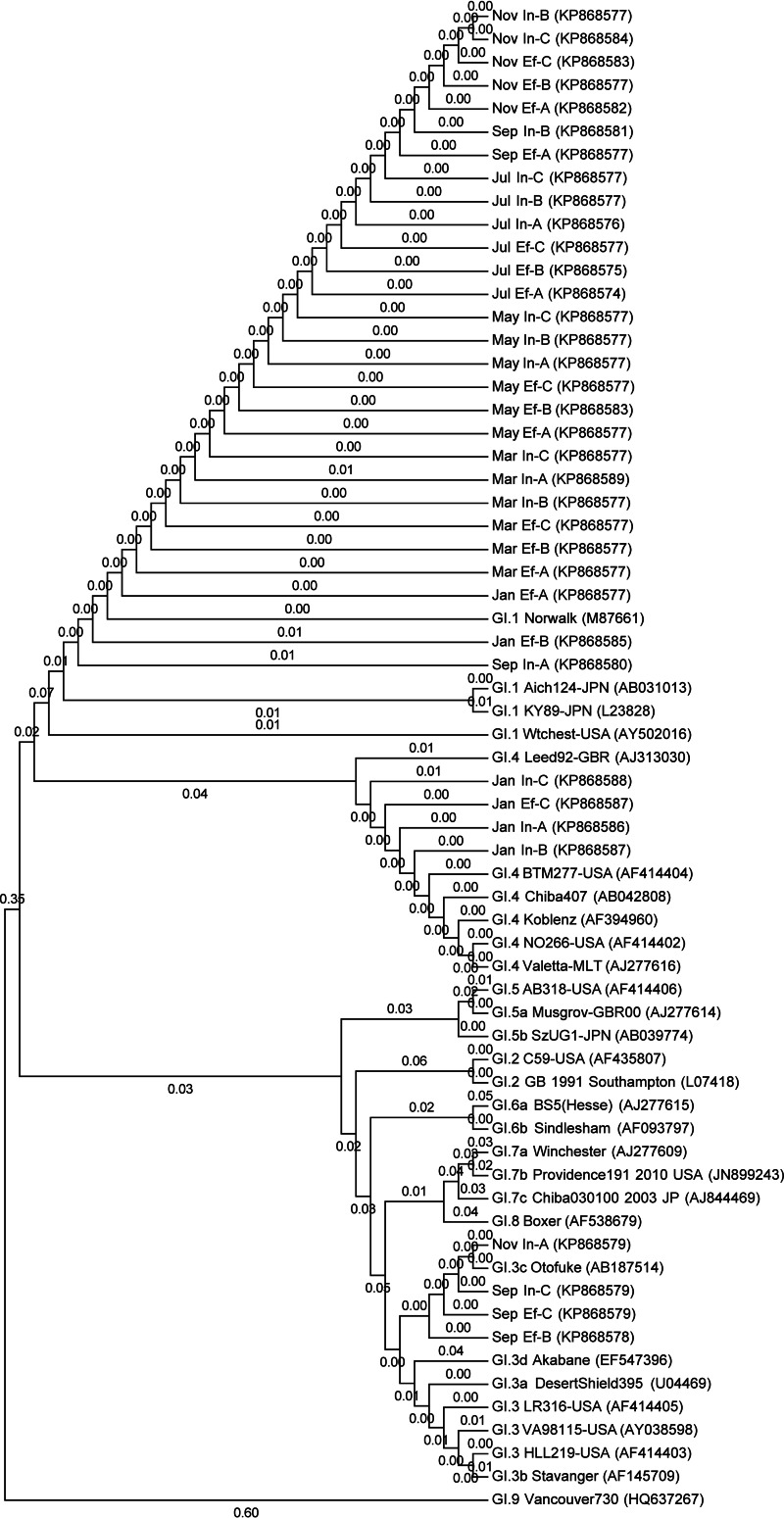 FIG 5