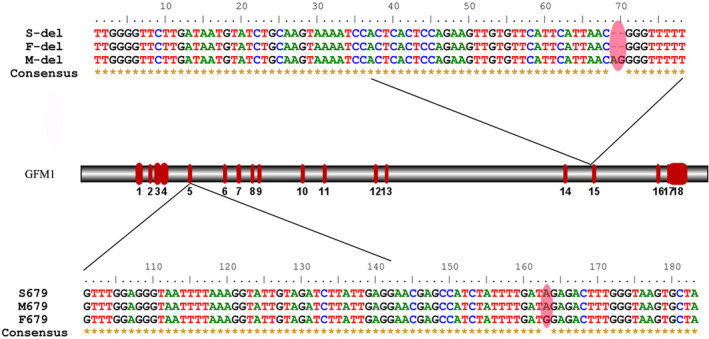 FIGURE 3