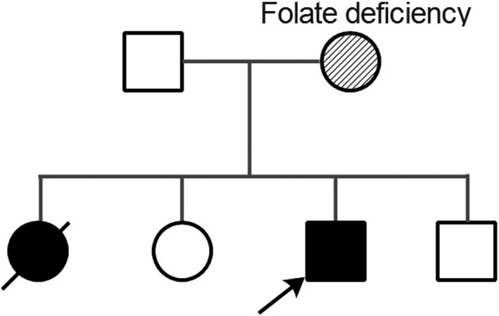 FIGURE 1