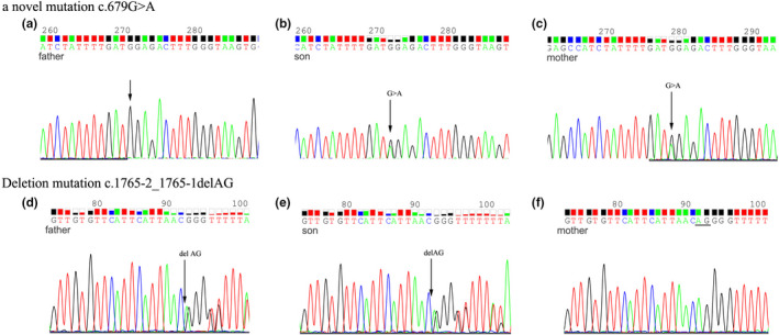 FIGURE 2