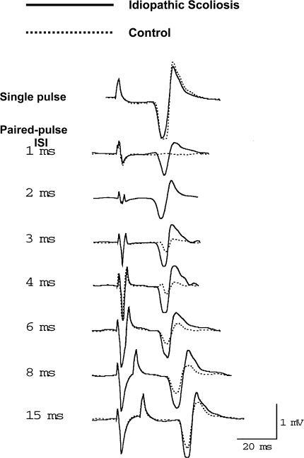 Fig. 3