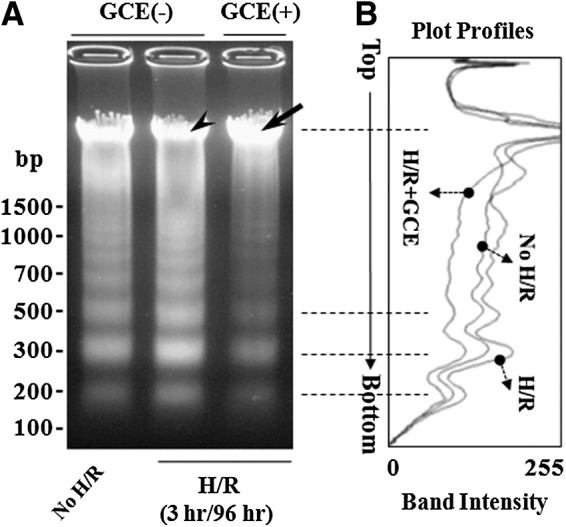 FIG. 7.