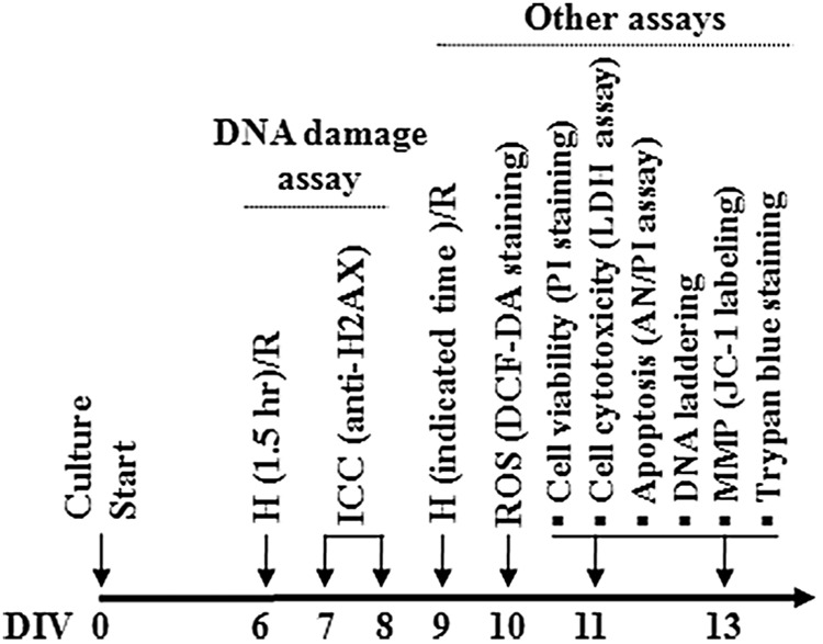 FIG. 1.