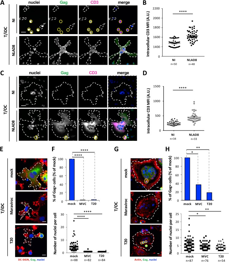 FIG 3