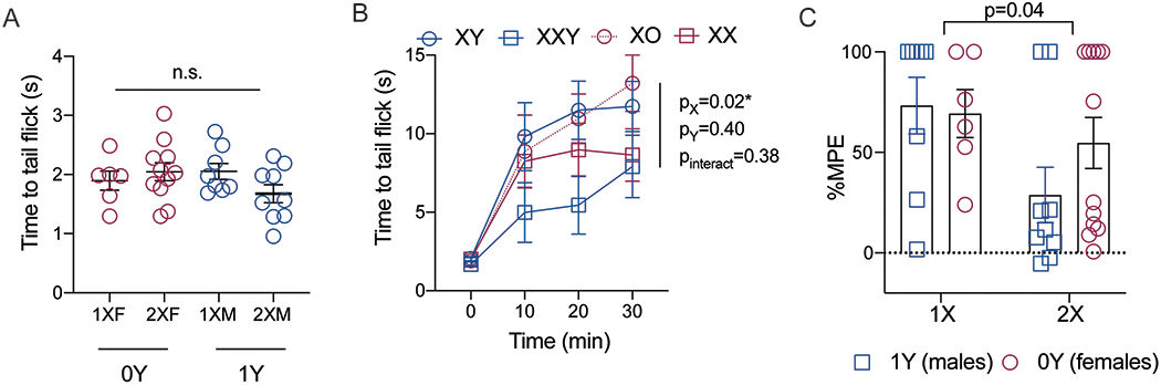 Figure 3: