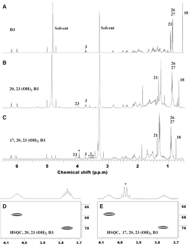 Fig. 5