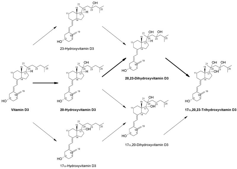 Fig. 9