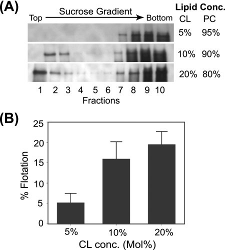 FIG. 6.