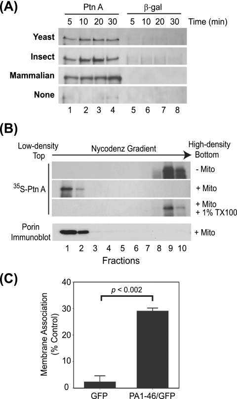 FIG. 1.