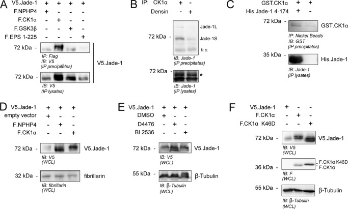 FIGURE 1.