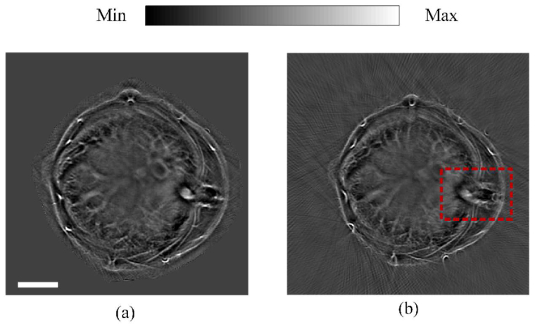 Fig. 8