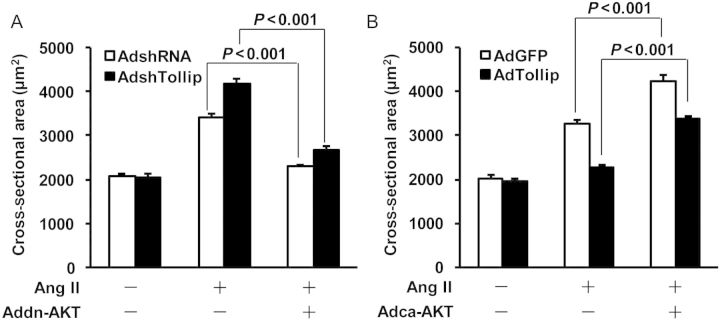 Figure 6