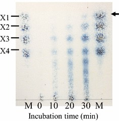 Figure 3