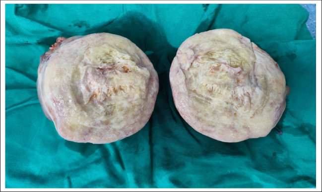Fig. 7