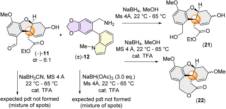 Scheme 5