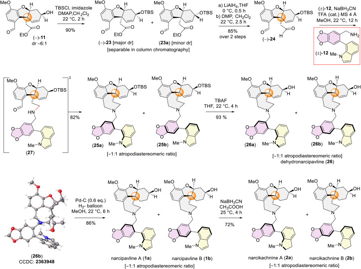 Scheme 6