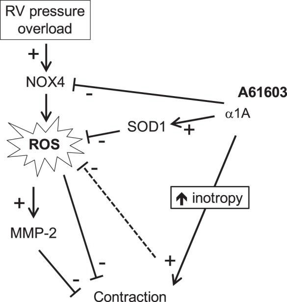 Fig. 10.