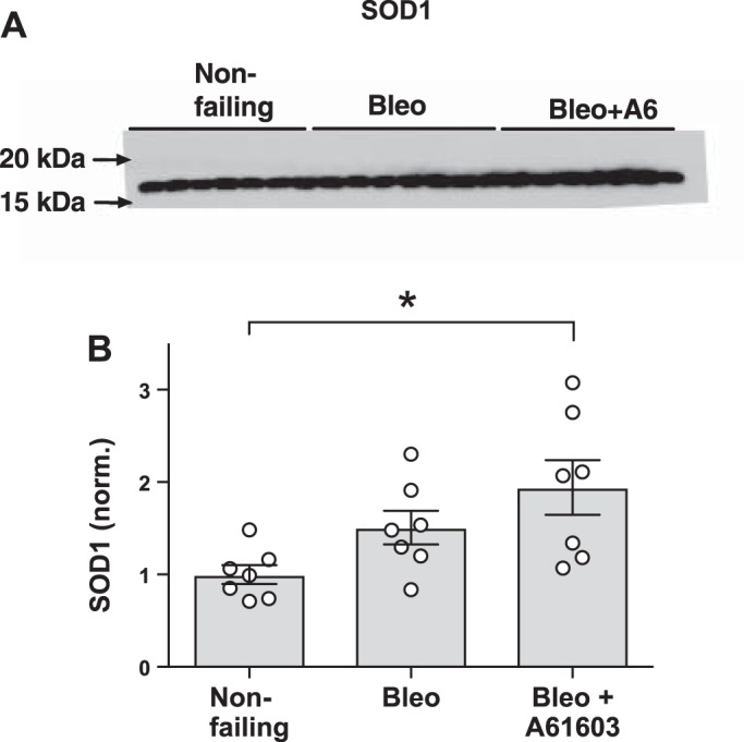 Fig. 8.