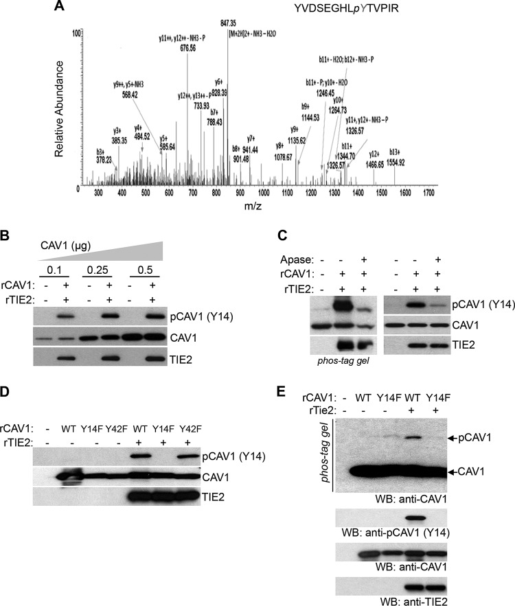 FIG 4