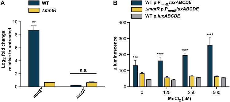 FIG 3