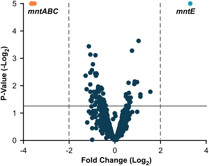 FIG 1