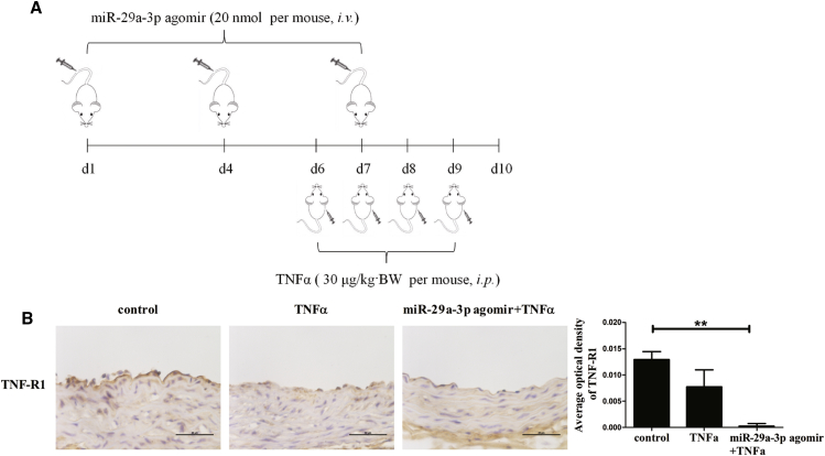 Figure 7