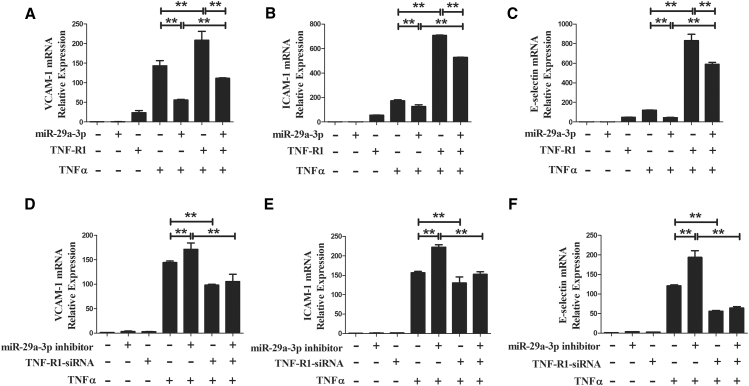 Figure 6