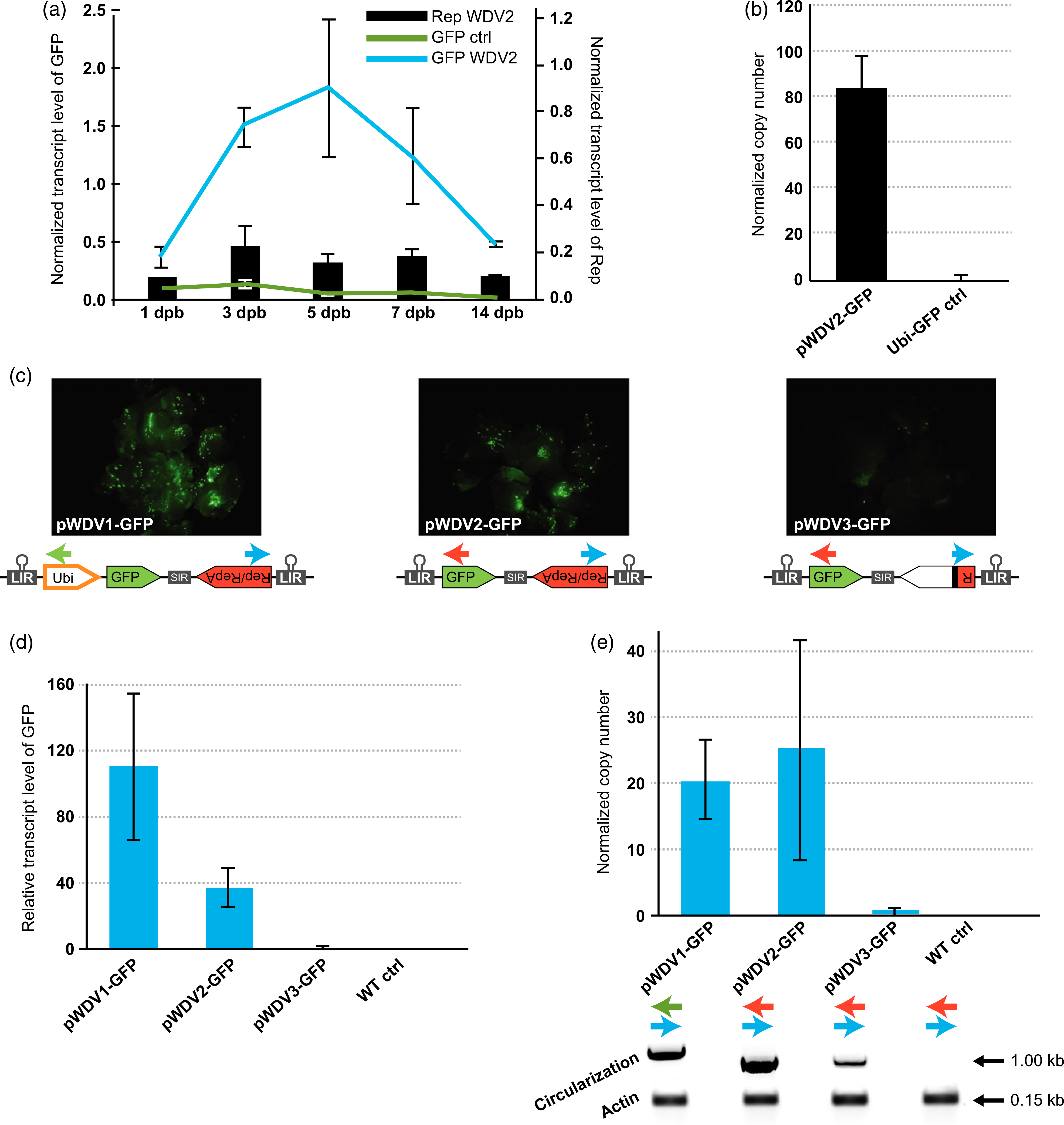 Figure 2.