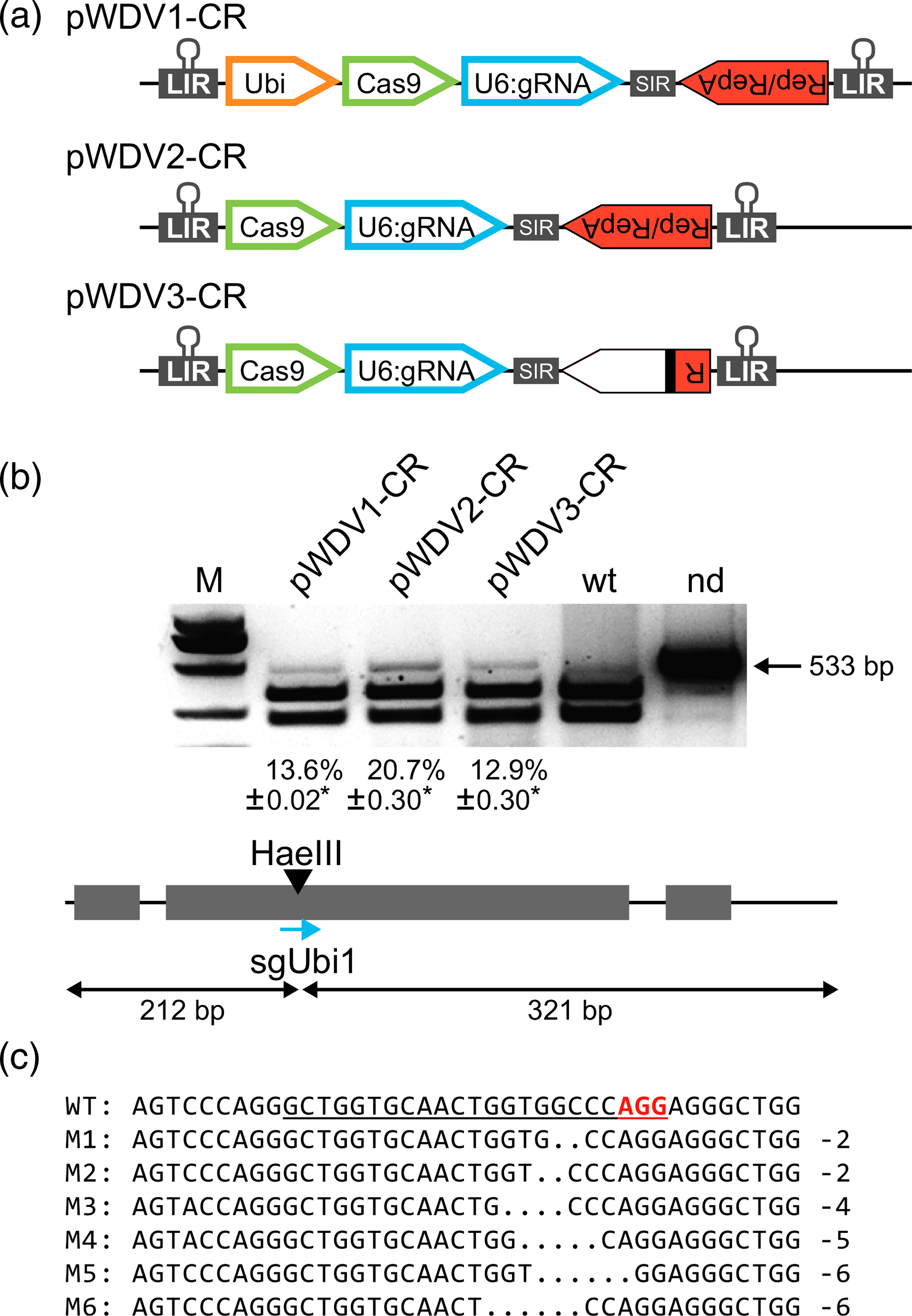 Figure 3.