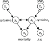 Fig 10