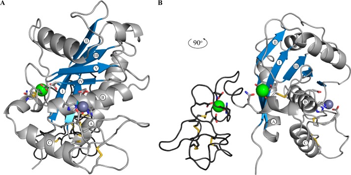 FIGURE 7.