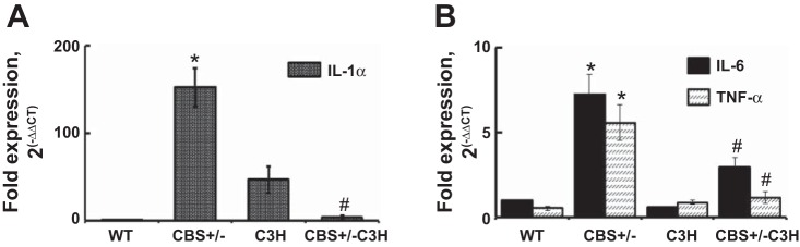 Fig. 5.