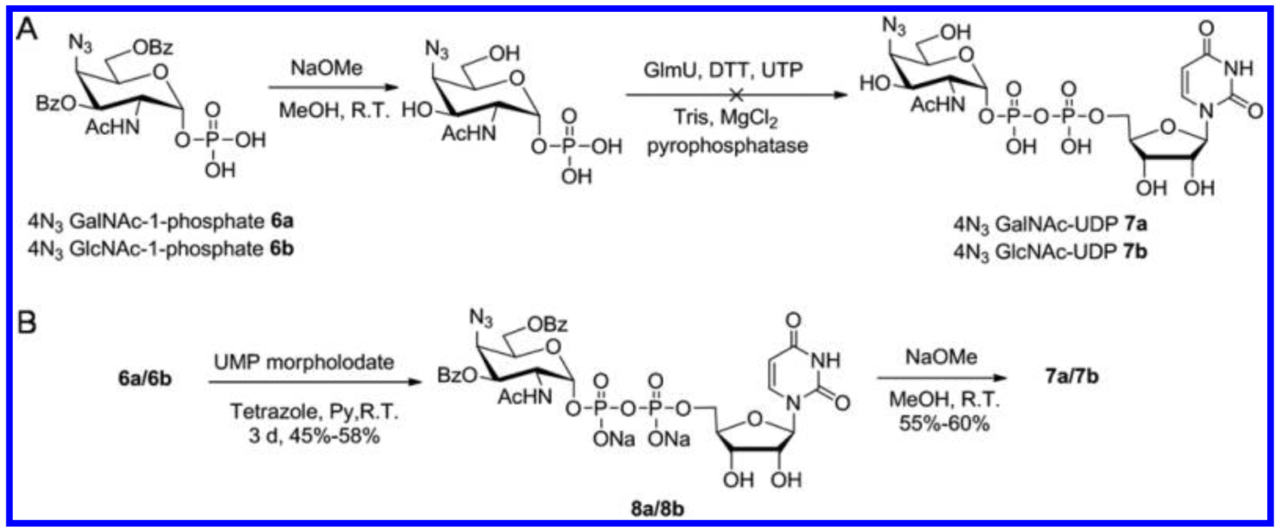 Scheme 2.