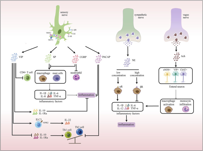 FIGURE 3