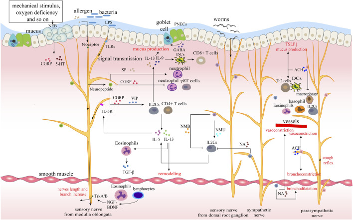 FIGURE 2