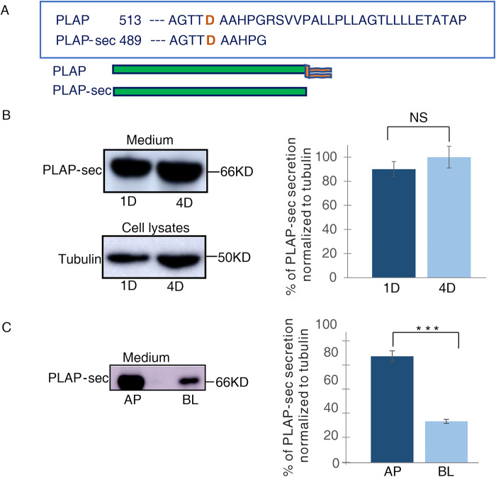 FIGURE 1: