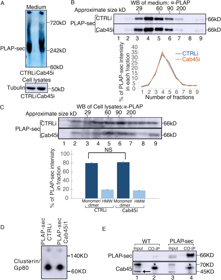 FIGURE 3: