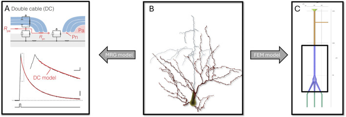 FIGURE 3