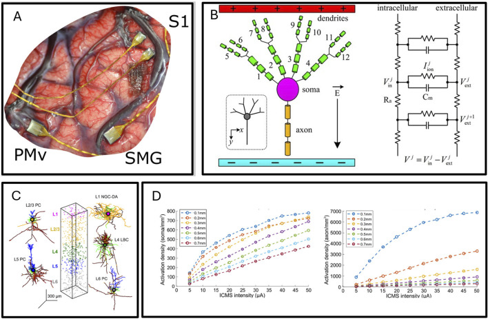 FIGURE 4