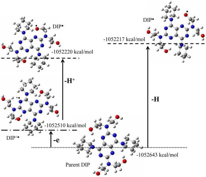 Figure 10