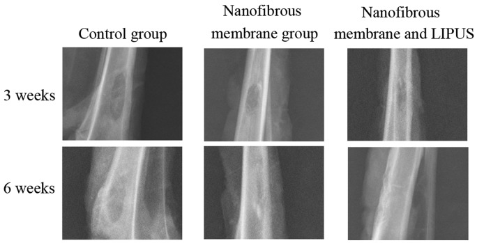 Figure 2.